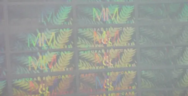 Hologram_29_transparent.jpg