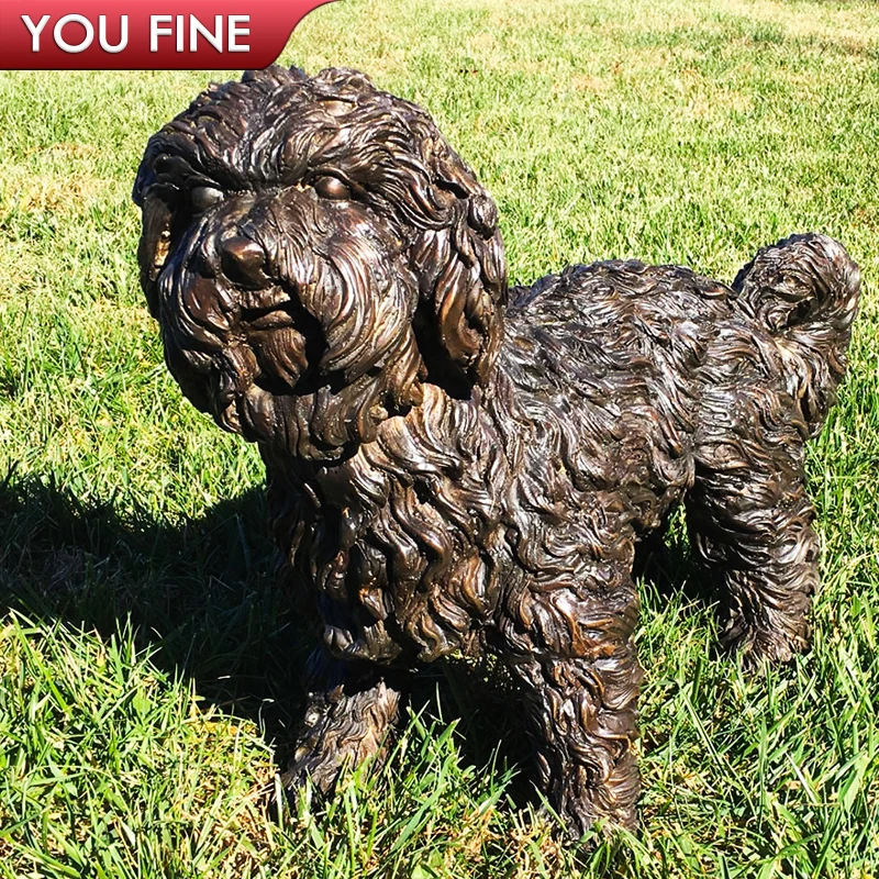 Lovely Long Haired Decorative Garden Bronze Yorkshire Terrier