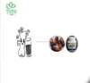 undenatured type ii collagen capsule build bone density naturally