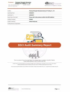 BSCI report