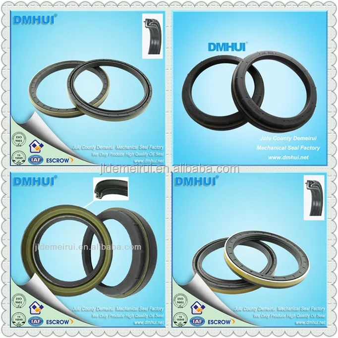 With NBR Material Oil Seal 42*62*21.5 or 42x62x21.5 Mm Size Wheel Hub Oil Seal, Hydraulic Pump Oil Seal Etc. 1603003 CN;HEB