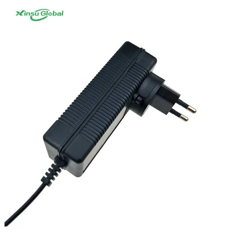 6v 5a li-ion ev fast removeable battery charger