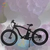 Great power high 48v big wheel electric fat bike frame