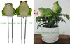 S/2 FROGS WITH MOISTURE DETECTOR