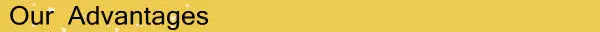 Our Advantages.jpg