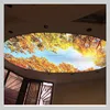 Waterproof fire resistant fabric pvc stretch ceiling raw material price for decoration home