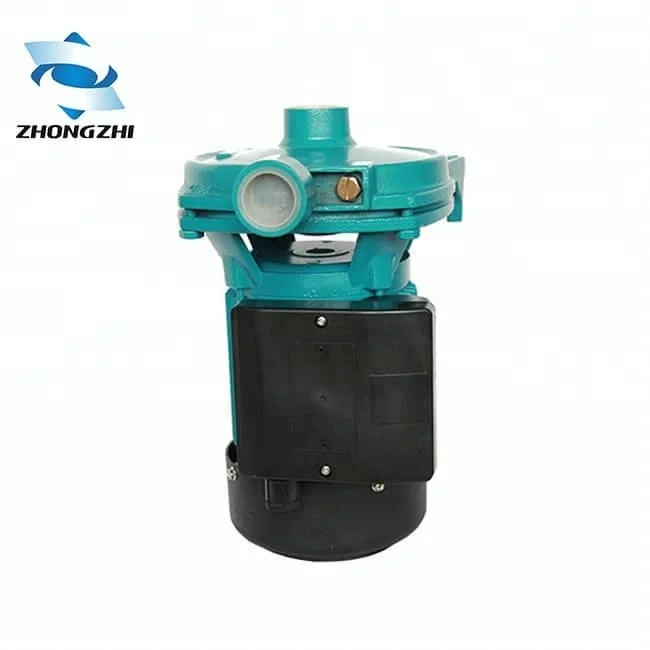 1HP Water Pump CPM 158 - Efficient Centrifugal Solutions
