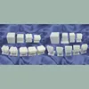 BIX - L1028 Carved teeth program model