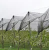 Anti hail protection net, hdpe anti-hail net, white anti hail mesh screen