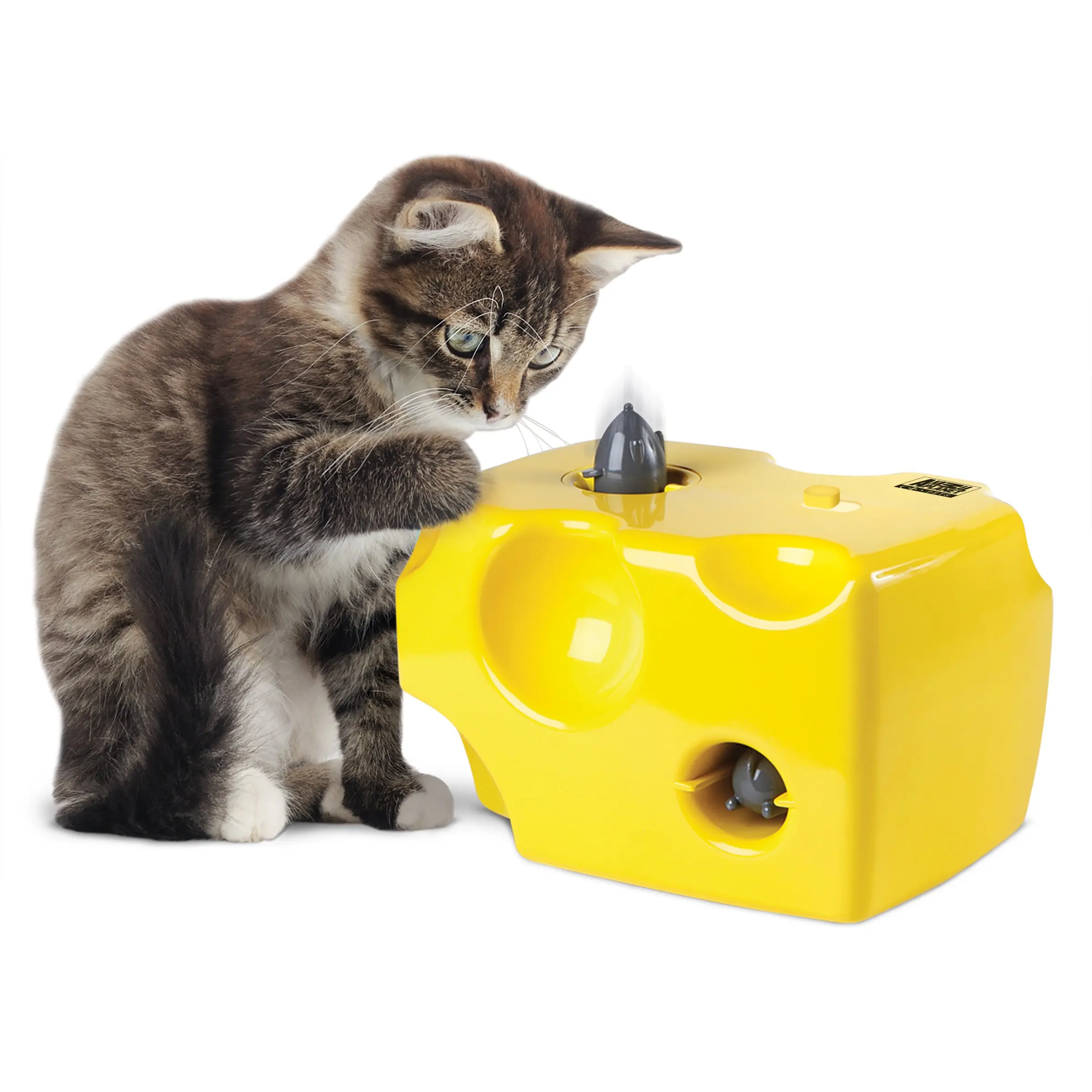 Items cats. Toys for Cats. Cool Cat одежда. Cat playing with Toys. Cheese Cat.