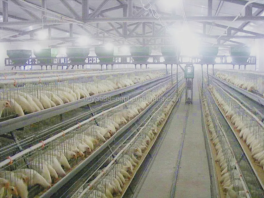 Best Price Battery Poultry Farm Chicken Layer Cage For Malaysia Buy Poultry Farm Chicken Layer Cage Layer Chicken Cage Chicken Egg Layer Cages Product On Alibaba Com