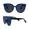 Blue big frame tide model CP UV400 sunglasses new designer sun glasses