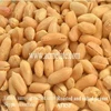 Hot sell high quality Roasted and Salted peanut