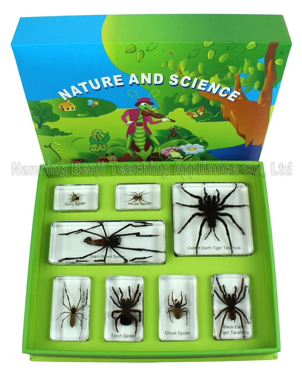 Real insects ghost spider in crystal clear resin  information card on gift box 