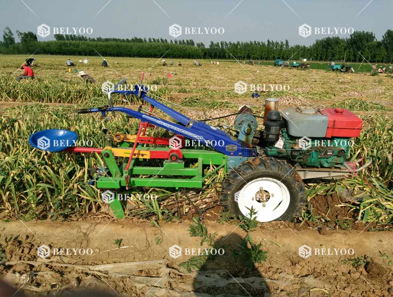 1300mm Cutting Width Garlic Harvester Machine Saffron Harvesting