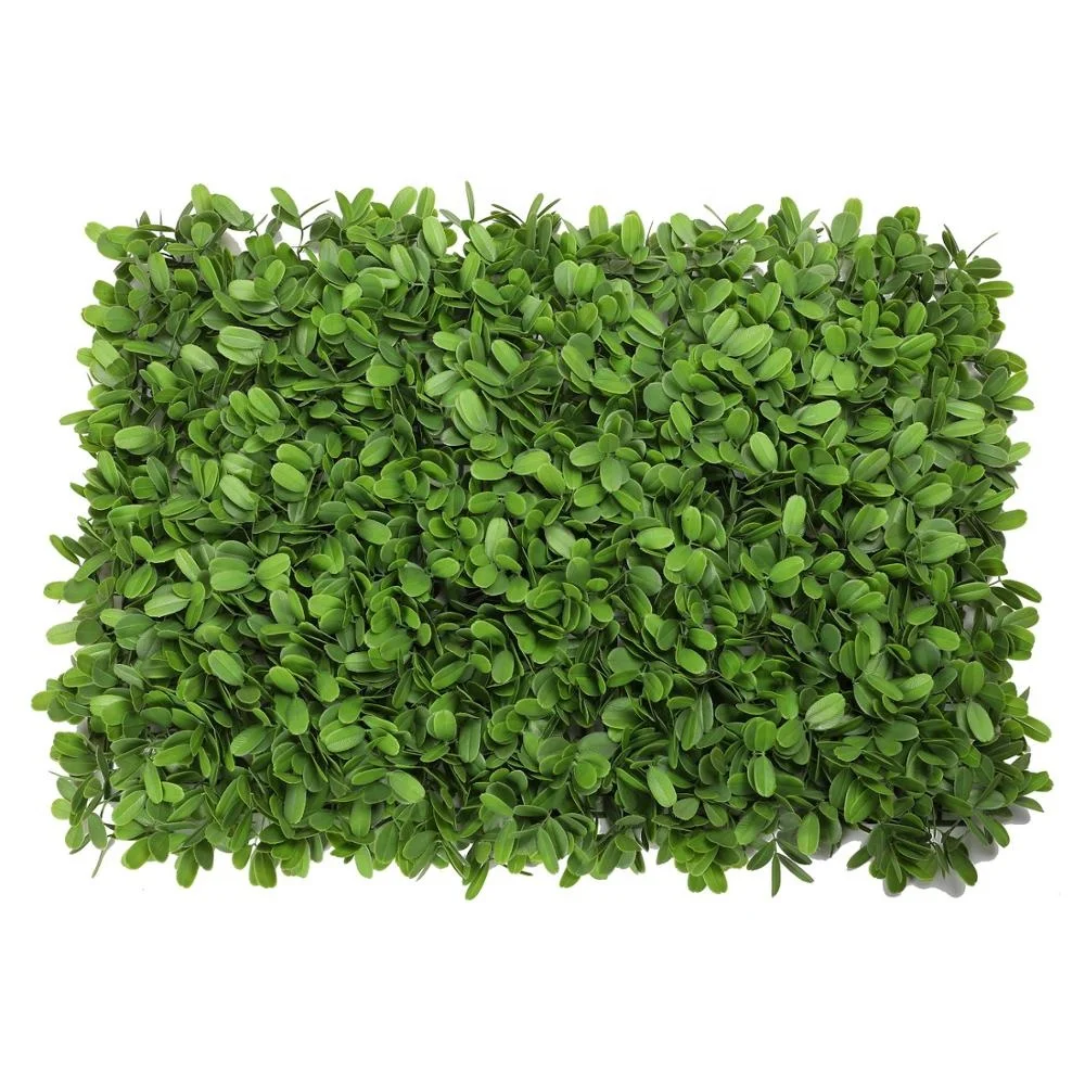 

Selling as hotcake Artificial Boxwood wall green wall for landscaping decoration, Green colors