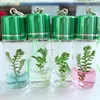 Live Mini Plant and Plant Pet Tree