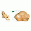 high polymer material medical midwifery training model