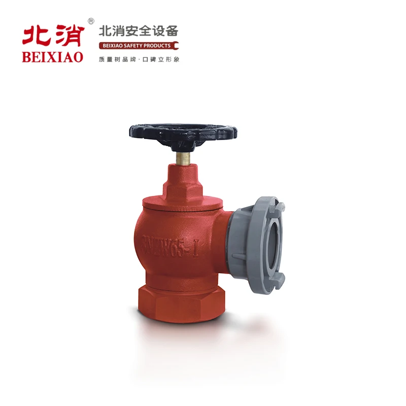 
SNZW65 Professional Firefighting Equipment Indoor Fire Hydrant Manufacturer 