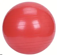 

High Quality PVC 55/65/75CM Exercise Ball / Private Label Yoga Ball In Gymnastic