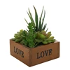/product-detail/mini-faux-succulent-cactus-aloe-potted-plant-arrangements-decorative-assorted-potted-artificial-succulents-plants-with-wooden-60829827139.html