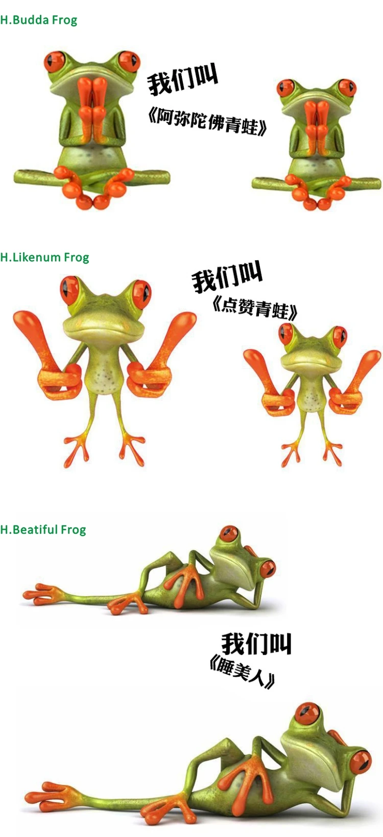 Frog-4.jpg