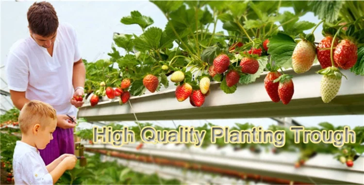 soilless culture gutter