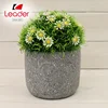 Home Office Decor Colorful Artificial Plants Potted in Cement Flowerpot Artificial Tree and Flower
