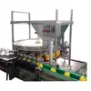Litchi pineapple peach canning production line