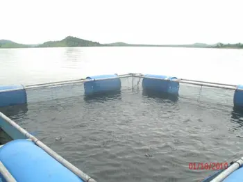 Fishing Farm Cages Automatic Feeder Investmest In Fish Farming