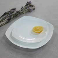 

Wholesale Classic Porcelain 8 and 10.5 Inches White Square serving airline dishes and plates