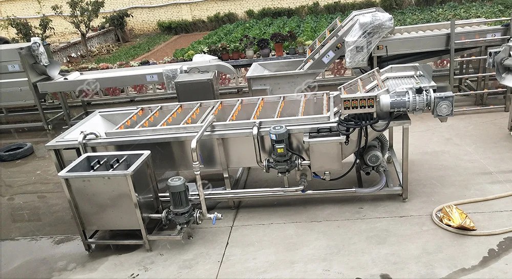 Gg5000 Commercial Fruit Vegetable Washing Machine Apple Washer And Dryer Buy Apple Washer And