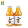 FRY178 Production Line Fresh-Squeezed Fruit Juice Jus Drink