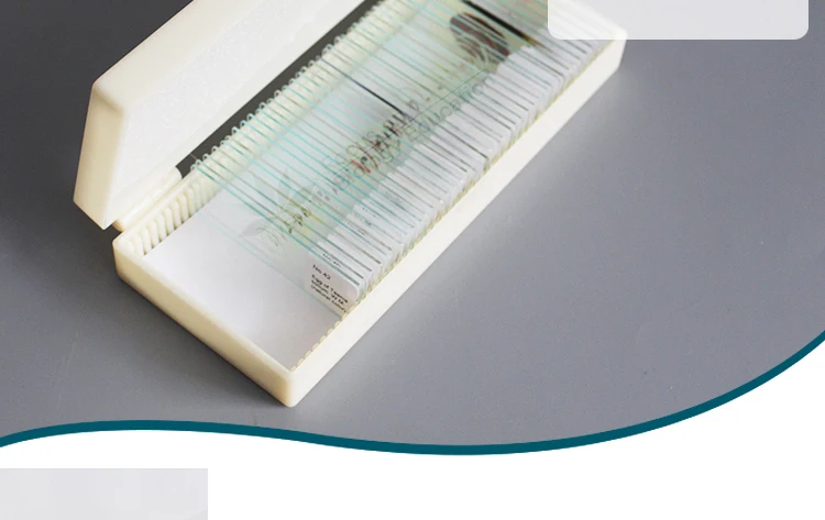 3 42pcs set parasitology microscope slides.jpg
