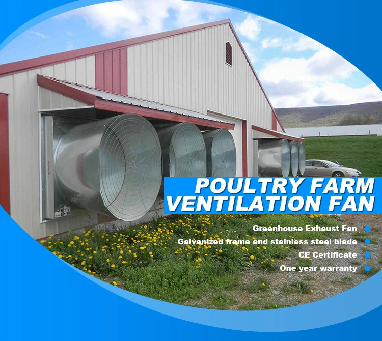 Automatic Poultry Farm Chicken House Ventilation Fan Buy Poultry