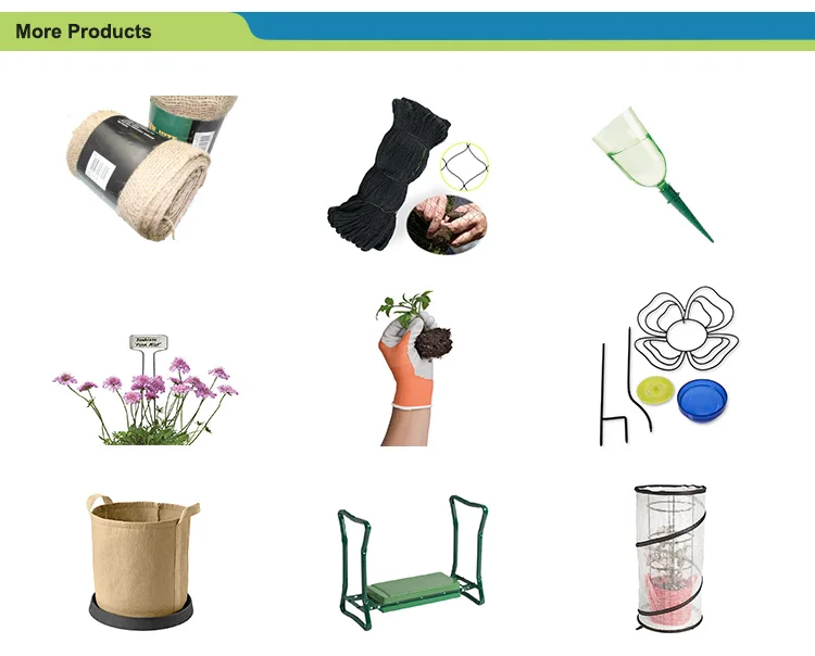 more-product_03