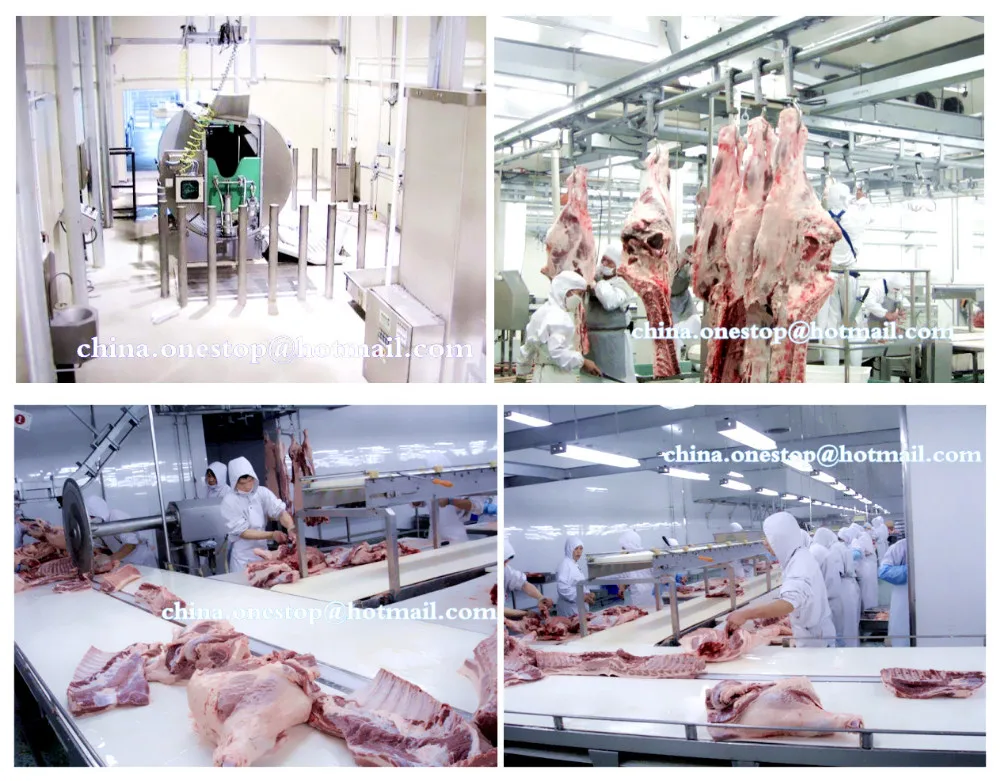 1,200 live sheep per shift, goat best-selling slaughterhouse stainless steel slaughtering equipment production line per hour