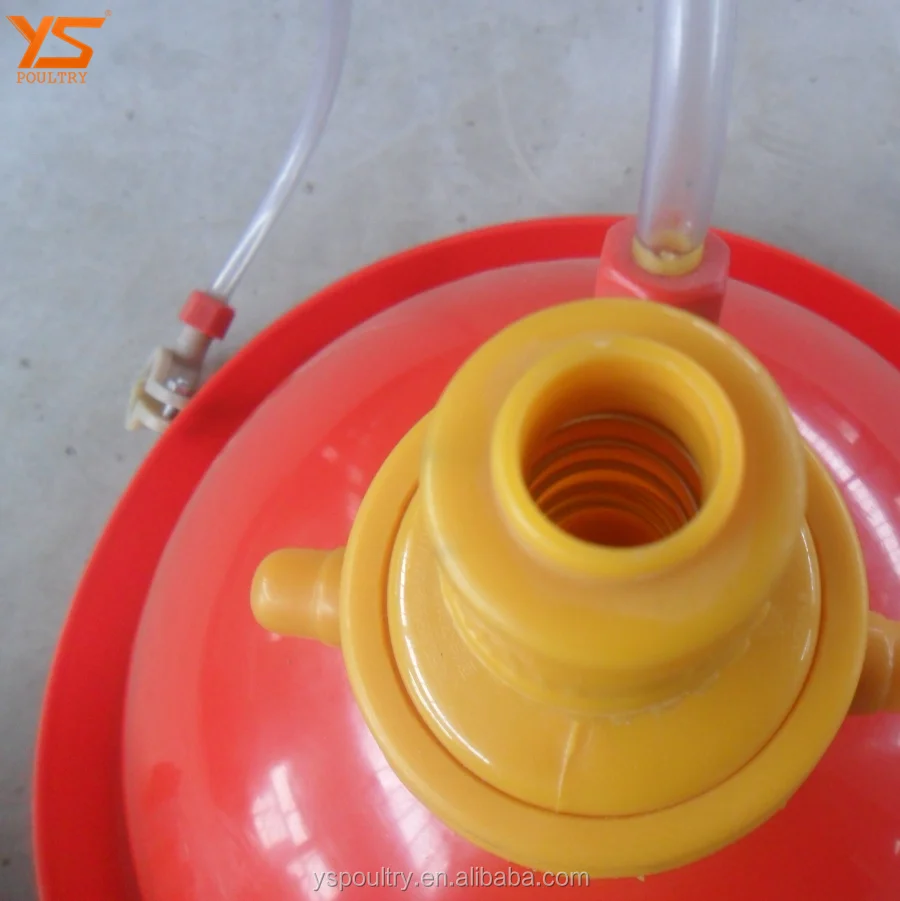 
Automatic poultry drinkers for chick broiler chicken 
