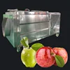 Apple orange lemon ect washing machine/Fruit bubble cleaning machine/fruit washing machine