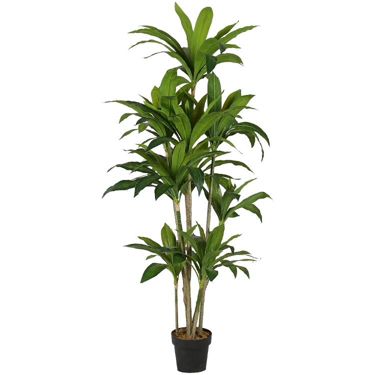 1.7m Cornstalk Dracaena Realistic Looking Artificial Plant Artificial ...