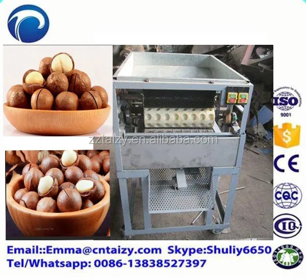 ヘーゼルナッツタッピング機操作が簡単ピスタチオナッツ開封機マカダミアナット開封機 Buy マカダミアナッツオープニング機 ヘーゼルナッツ タッピングマシン ピスタチオナッツオープニング機 Product On Alibaba Com