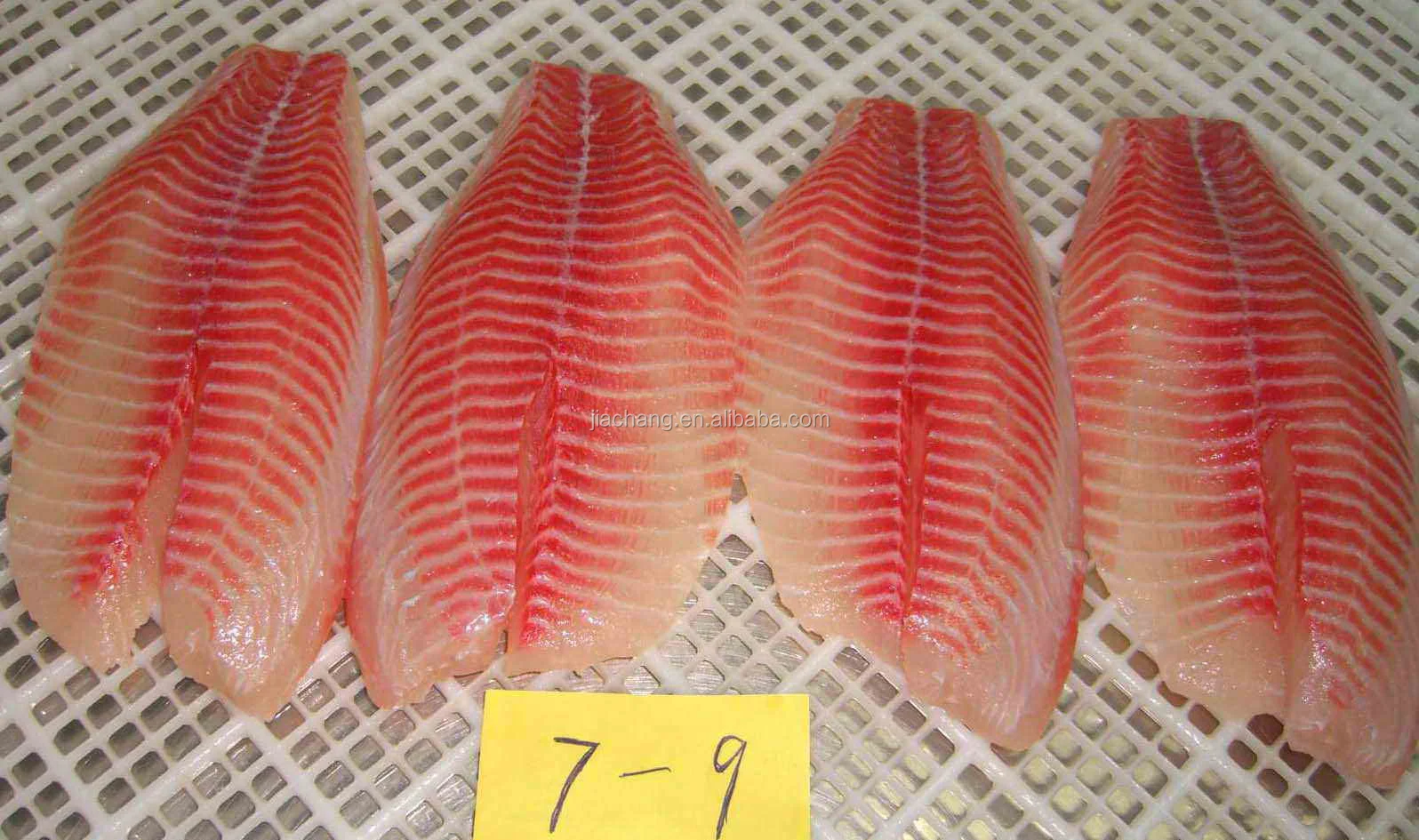 frozen tilapia fish fillet 3-5oz/fillet tilapia price