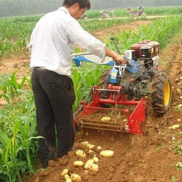 Đa chức năng Tự Động Trung Quốc Tỏi Khoai Tây Sắn Cà Rốt Gặt Đập Bán