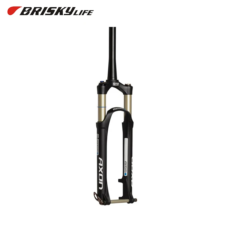 lockout forks mountain bike