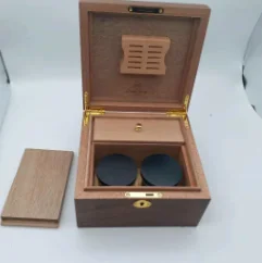 paste-pic-dp_uuid_lsdam