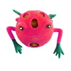 Squishy Frog Toy