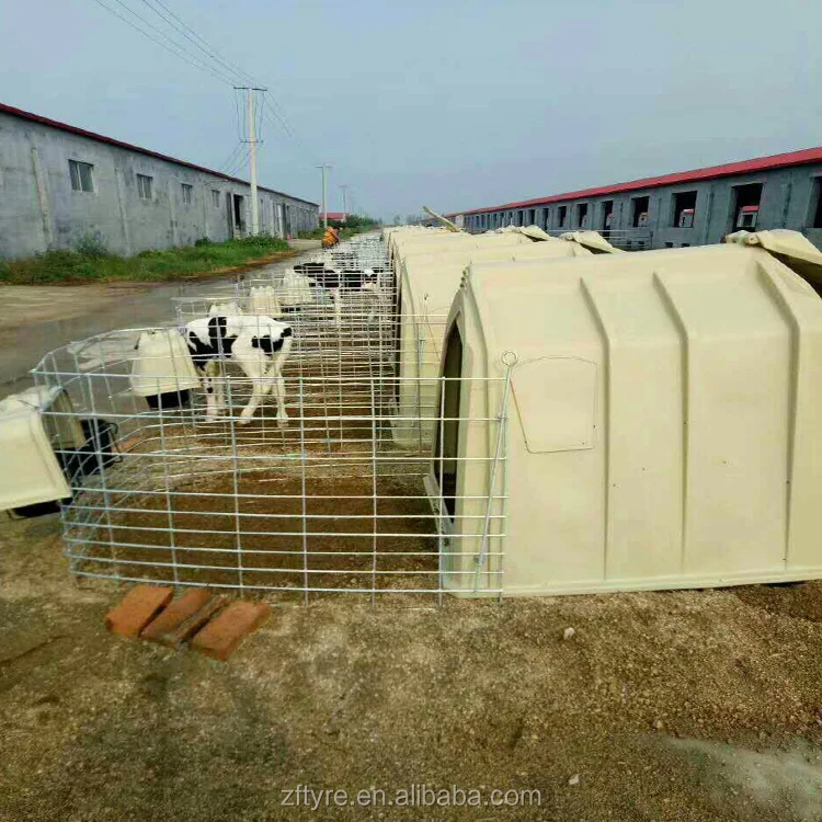 Farm Cow Calf Hutch Houses With Steel Fence Around Buy Calf Hutch