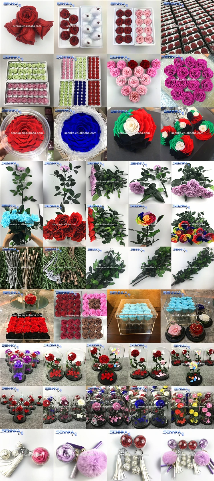 Preserved rose in ring box