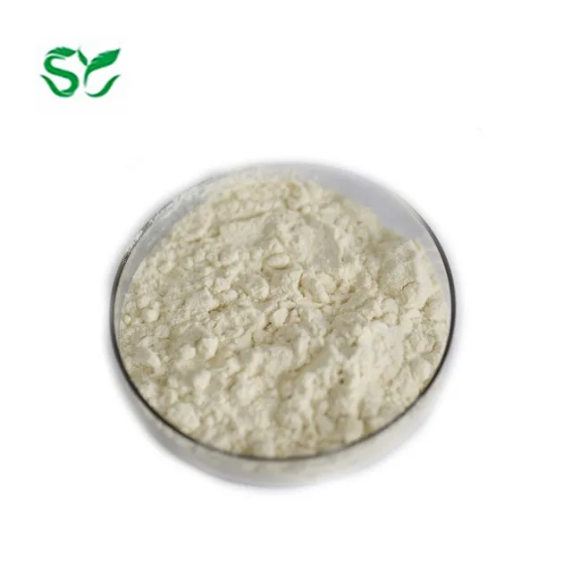 
high quality wholesale GMO-free maize flour yellow corn flour 