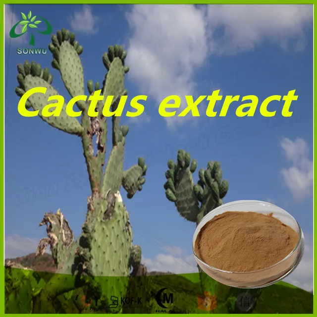 nopal cactus fruit